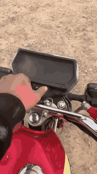 تايكر • دجيل • أوراق