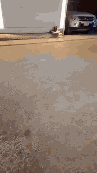 للبيع زراعي عمار السوداني سند25 طابو مقابل مجتمع ستي مساحة 170مترمسلح ...