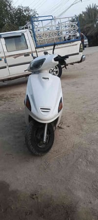 فراشه الربيع • كابريتر جديد • بابل القاسم