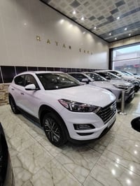 ٢٠١٩ • كشنات جلد • بدون صبغ