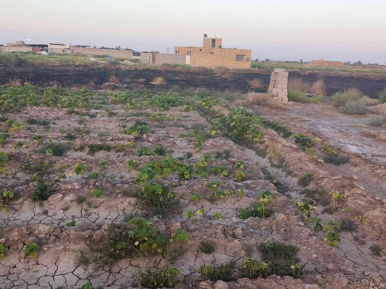 السلام عليكم
ارض زراعيه للبيع المساحه ٨ونص دونم ع طريق ال عواد صديفه تبعد عن الشارع الرئيسي ٧٠ متر يوجد فيها ماء اساله وكهرباء وماي سقي ارض صالحه لزراعه وبيها بيت هيكل بناء طابوگ‏ التواصل‪***********‬‏
