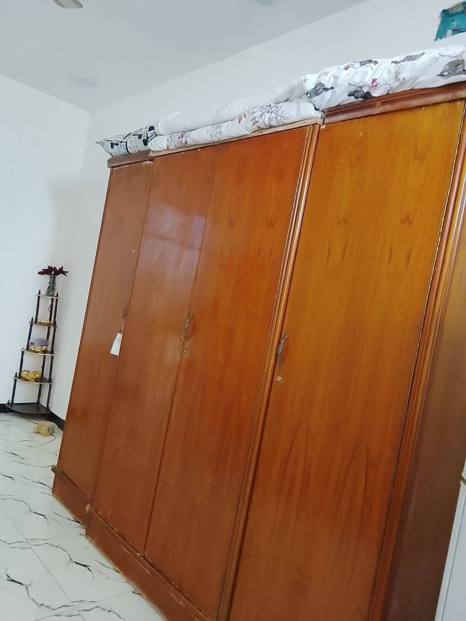 سلام عليكم مرخصت الادمن أغراض للبيع مكان لبياع شرطه الخامسه اي استفسار خاص غراض كلهن نظيفات شري خاص


**إذا كنت صاحب هذا الإعلان وتريد حذفه لأي سبب، رجاءا أرسل رسالة إلى الدعم الفني**