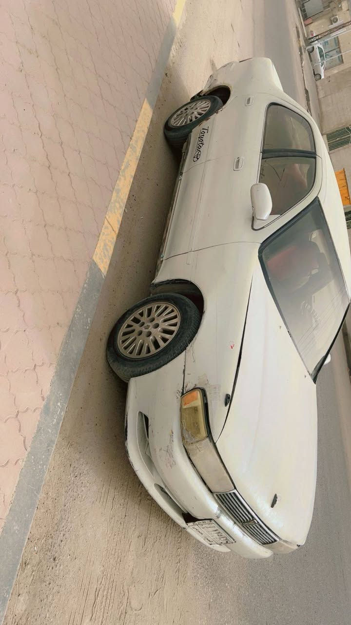 السلام عليكم كرسته
مگصوصه جنطه مكينه بيها بخار بدون تنقيص 
گير مكفول النمر كلهن يطيحن يعني مابيه شي 
حداديه حلوه رقم بصره ماواصل لراعيها اكفلها عن السرقه والحرام وطلع بيها محافظات سياره حلوه وسعر مناسب 
السعر 15 ورقه قفلها من الاخير حطهن على البنيد وتكاتب 
لاتگلي عشانه وغدانه خيرات الله تارسه الثلاجه تتغده وتتعشى وتروح *********** مكاني البصرة
