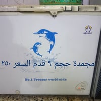 الزعفرانية شارع المعهد • جديدة بالكارتون • مجمدة مستعملة