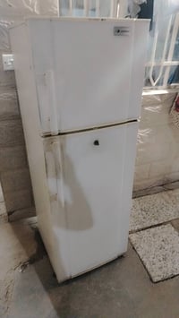 ١٢قدم • دنكا • تجميد فول