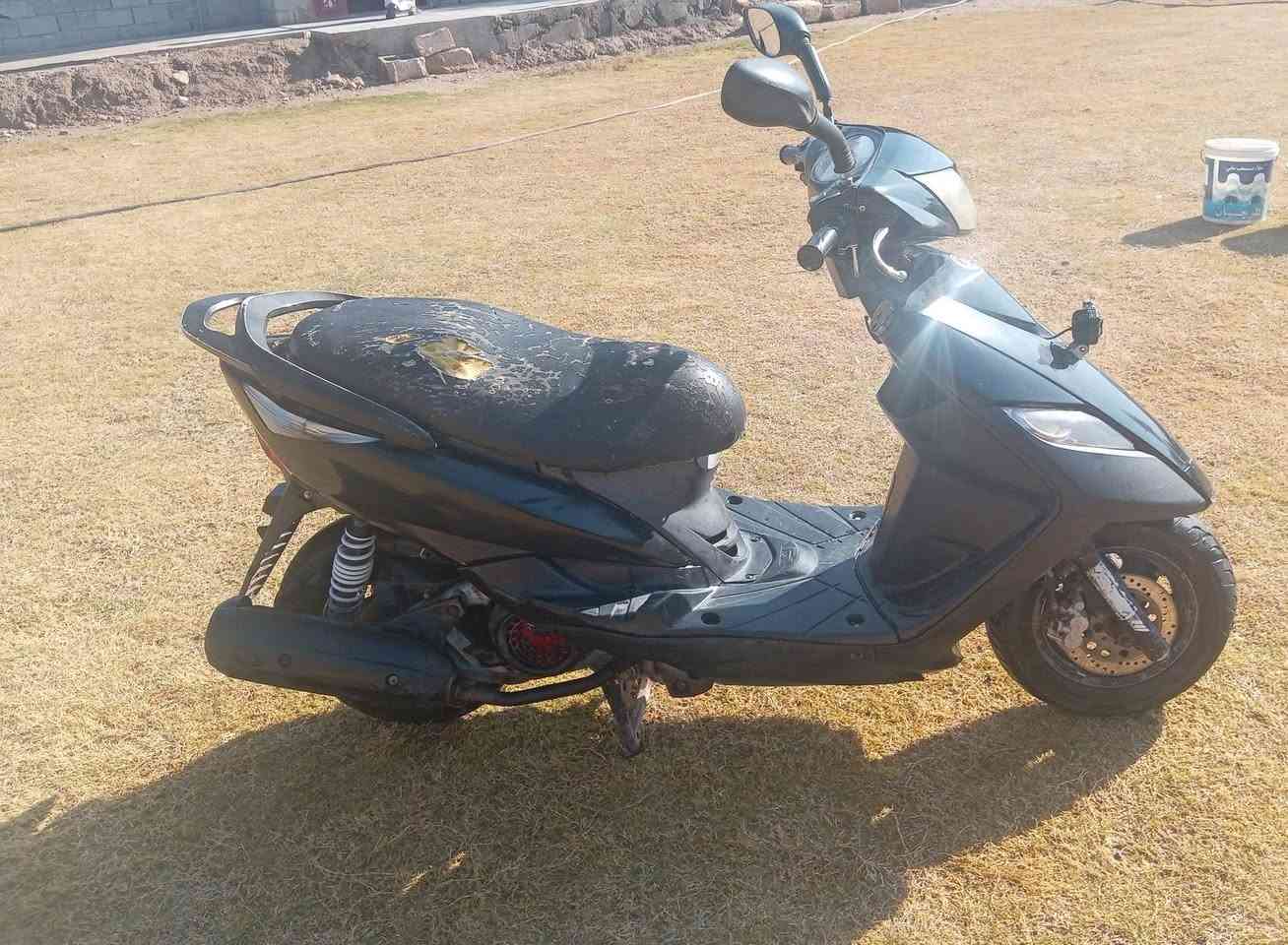 ماكس ثعلب للبيع مكفوله كفاله عامه مابيها اي نقص سعر ٣٥٠ وبيها مجال مكاني بغداد ابو غريب *********** بي وتساب
