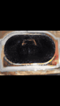 تحب سيارتك وتريدها  ترجع مثل استلامها من الشركة ما الك الا مركز اياد ل...