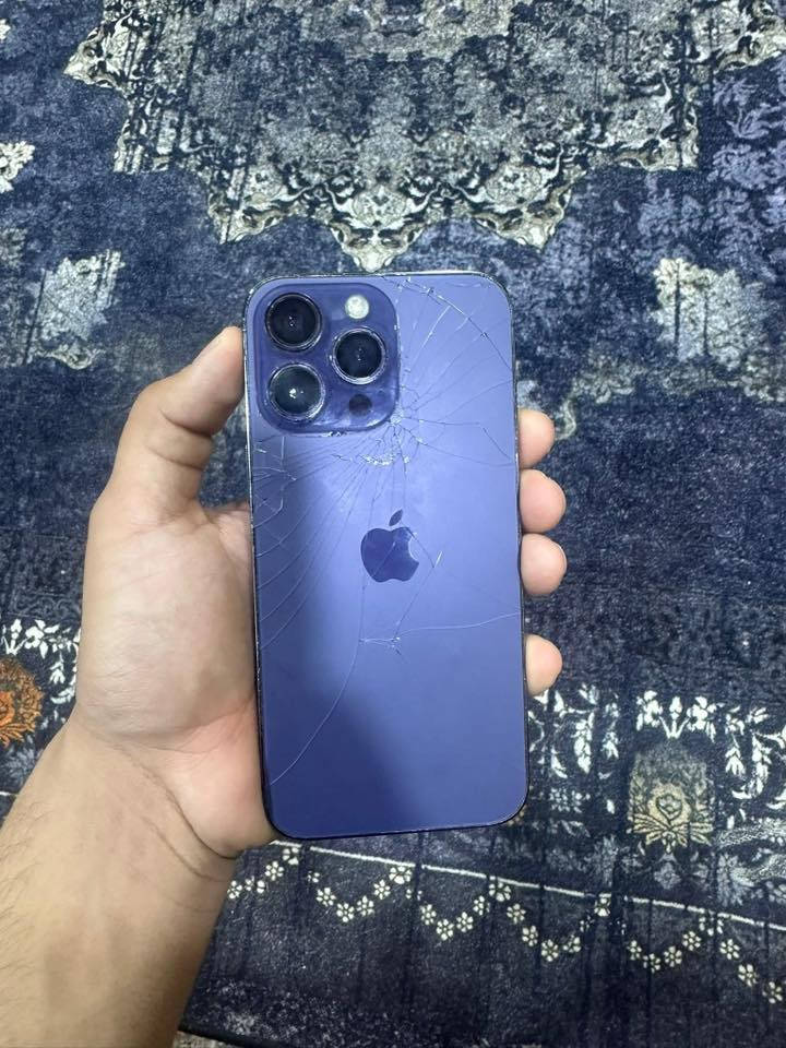 يالله مستعجل ع بيعته ***********
