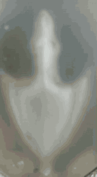 سلام عليكم جنبي موصليه للبيع السعر 37العنون النجف الرقم ***********
