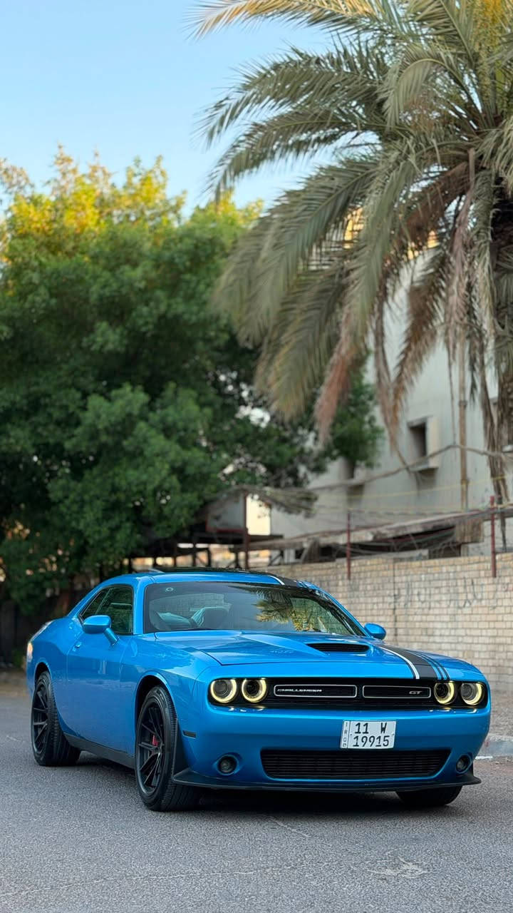 السلام عليكم 
جالنجر 2019 GT Plus Special Edition
وكالة ليث العبيدي 💙
رقمه مميز 1991
بيه تكحيل كارت وره التاير الامامي من جوه فقط
وصبغ بالداعاميه الاماميه 
كفاله من الحادث والضربه والتبديل والفتح
فول مواصفات للاخير
ماشيه 73
كير ومحرك بلاديات ممفتوحات
فتحة سقف
تشغيل عن بعد
بصمة ابواب 
كشنات جلد
كشنات كهرباء
شاشه حبيره كار بلي
فول تحكم استيرن
شفتات استيرن
كامرا خلفيه
حساسات
شاشة اعطال وكيجات
دبل دمام خلفي بلادي 
السياره جديده بمعنى الكلمه ومصروف عليه هواي 
جاهزه كير ومحرك وحداديه وتبريد وتدفئه
ناصبه واحله من الصور ولونه مميز 
السعر 210 وبيه مجال 
عنواني بغداد متواجد واتساب 
***********
