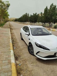 سيل 5 فول لمتد كفالة عامة /07711232213