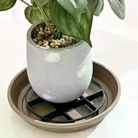 قطع تنفيس • للنباتات • ١٠ قطع