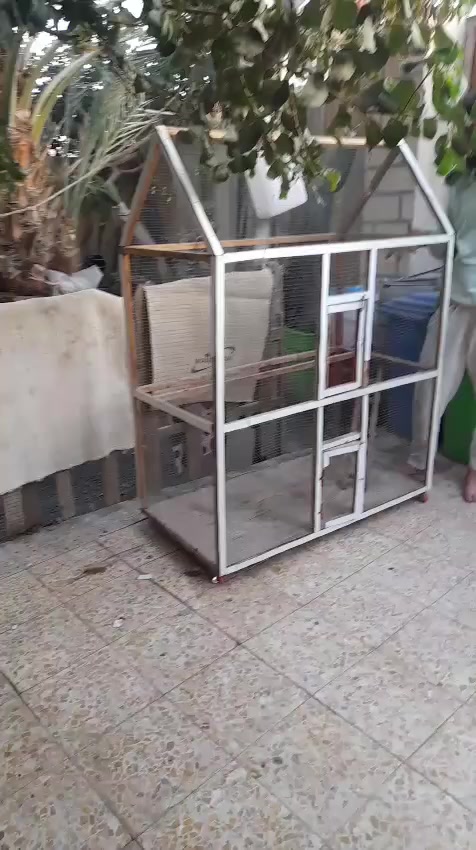 متاح قفص استخدم قليل سعره 30 بصره قرنه ***********
