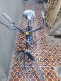 حجم ٢٦ • زنجيل يفلت • للبيع