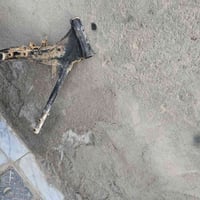 شاصي • اوراق اصولي • شرط ترقيم