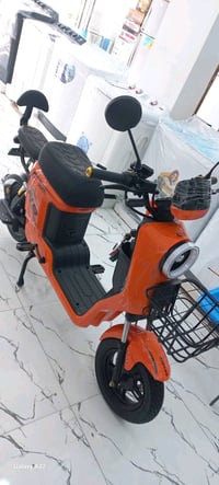 يولد R9 • برتقالي • كربلاء حي العباس