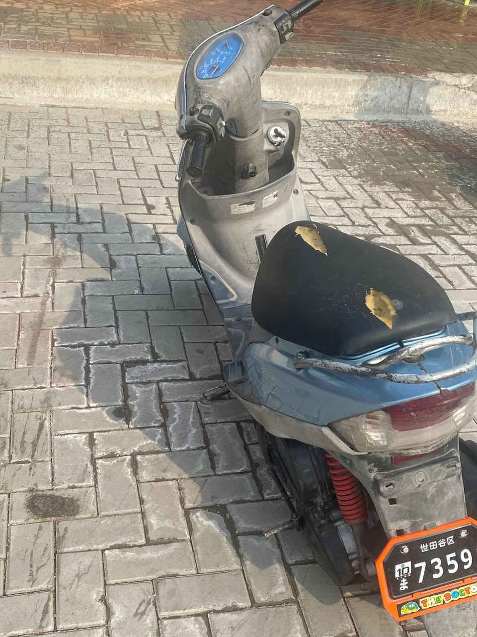 سلام عليكم ماكس منغولي البيع
دراجه حلوه كفرات نضيفه كهربيات سلف هندر شلعه ومعدل مكينه ناعمه سعره 450 وبيه مجال 

مكاني مدينه الصدر الكياره رقم ***********
