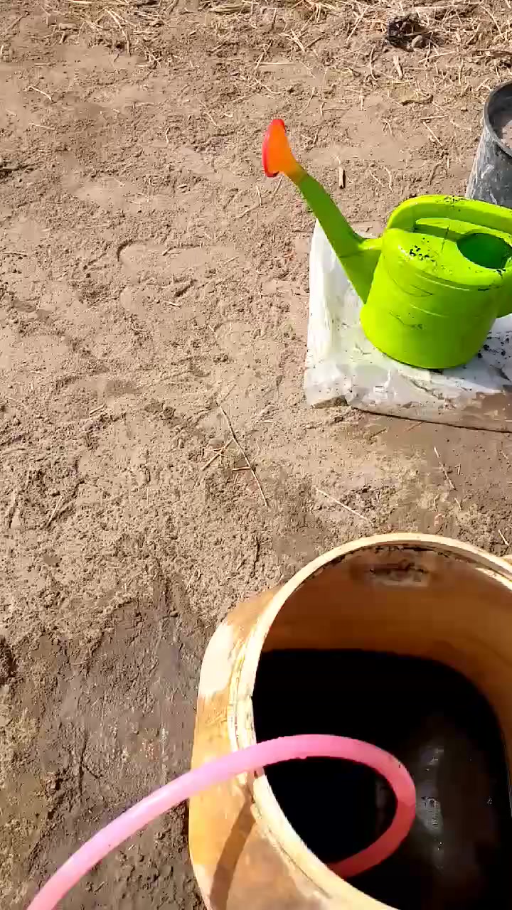 أسعد الله صباحكم إضافة الهيومك السلوفاكي بطريقة تحليل تكون اسرعه


**إذا كنت صاحب هذا الإعلان وتريد حذفه لأي سبب، رجاءا أرسل رسالة إلى الدعم الفني**