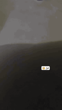 صبغ • ديكورات داخلية • ديكورات خارجية