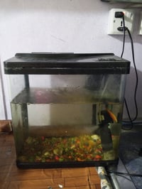 احواض اسماك • ٤ احواض • مكاني كوت