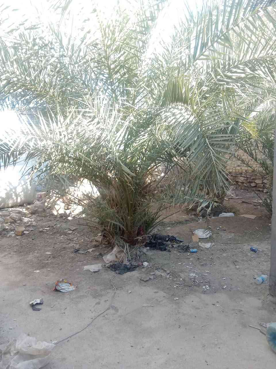 بيت للبيع مساحه 230متر 3 غرف وصاله ومطبخ العنوان قرب محطة قطار السماوه منطقة ال مجيبل نهاية الشراكيه زراعي مكاتبه  السعر 5 ملاين


**إذا كنت صاحب هذا الإعلان وتريد حذفه لأي سبب، رجاءا أرسل رسالة إلى الدعم الفني**