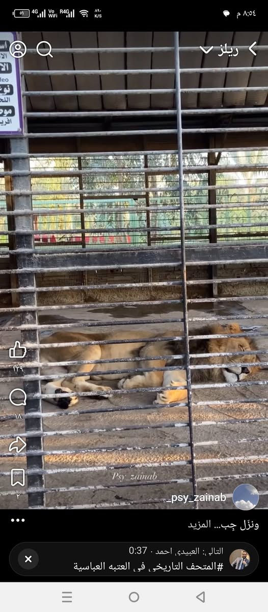 اخر 5مقاعد حملة كربلاء المقدسه 🕌 الساعه 1ظهرا غدا السبت
المتعهد الحاج ازهر الرويعي 🕌 ***********

المتعهد محسن الحربي ***********

***********

مشتل العتبه العباسيه سعر 4000
