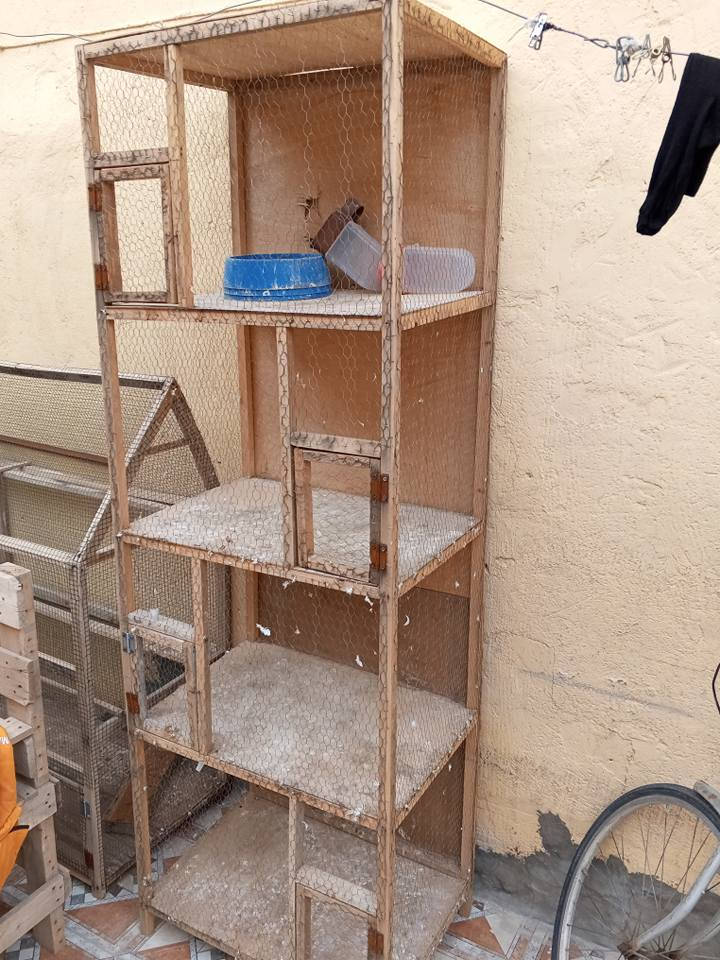 للبيع مستخدم شهر ***********
