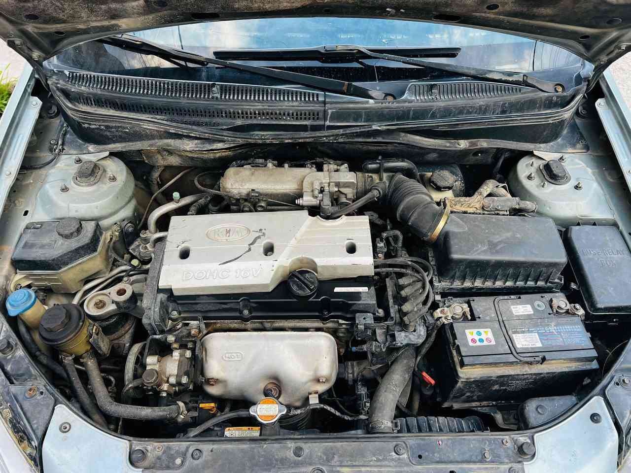 كيا ريو 2006 خليجي 
مصبوغه عام بسبب الهزه 
بدون حادث  او دواخل جدد شرط
طخم كامل جديد شاده + مشط ستيرن
منضومه تبريد جديده 
منضومه البانزين نوزلات بلكات عبوه فيت بم كله جديد
شاشه كار بلي + تحكمات ستيرن
هزه جديده
رقم بغداد بسمي تتحول اي مكان
مكاني موصل 
*********** اتصال او واتساب
