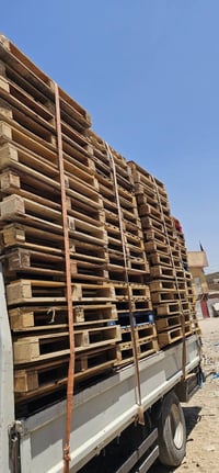 سكيب • سكيب درجة اولى • سكيب افريقي • سكيب 120x100 • بابل سكيب