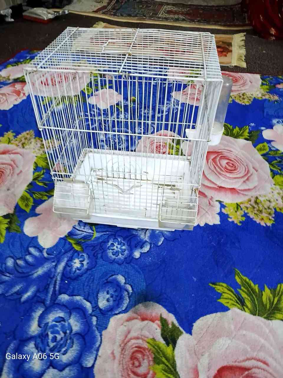 قفص خشب تفصال طول متر /السعر


**إذا كنت صاحب هذا الإعلان وتريد حذفه لأي سبب، رجاءا أرسل رسالة إلى الدعم الفني**