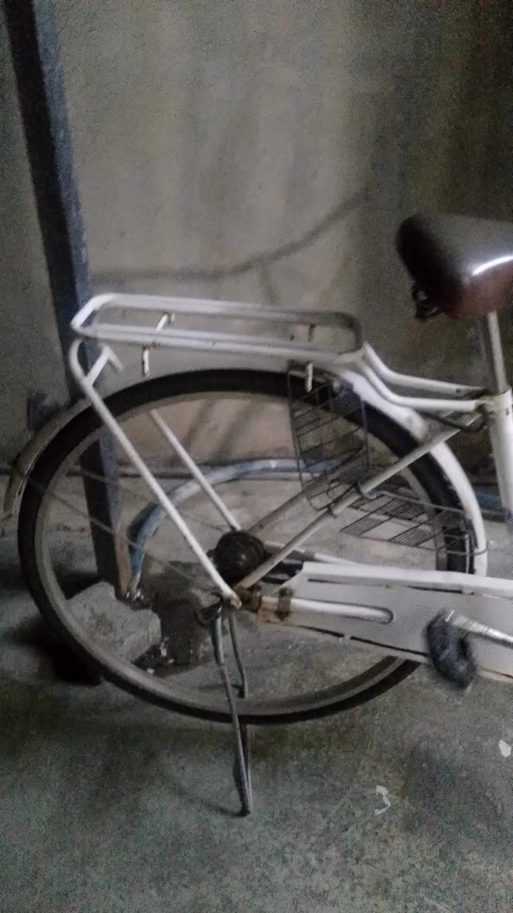 باسكيل ياباني اصلي شرط حجم 27 100الف وبي مجال


**إذا كنت صاحب هذا الإعلان وتريد حذفه لأي سبب، رجاءا أرسل رسالة إلى الدعم الفني**