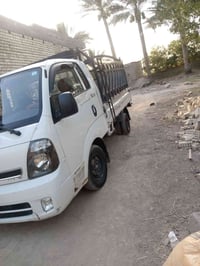 محجر • بابل محاويل