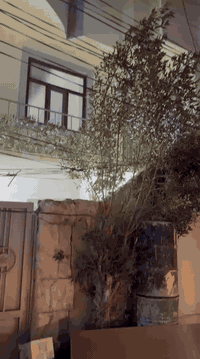 سلام عليكم دار للبيع 150متر شارع حسن زيني داخل فرع محسن معمار‏ ‪***********‬‏
***********
