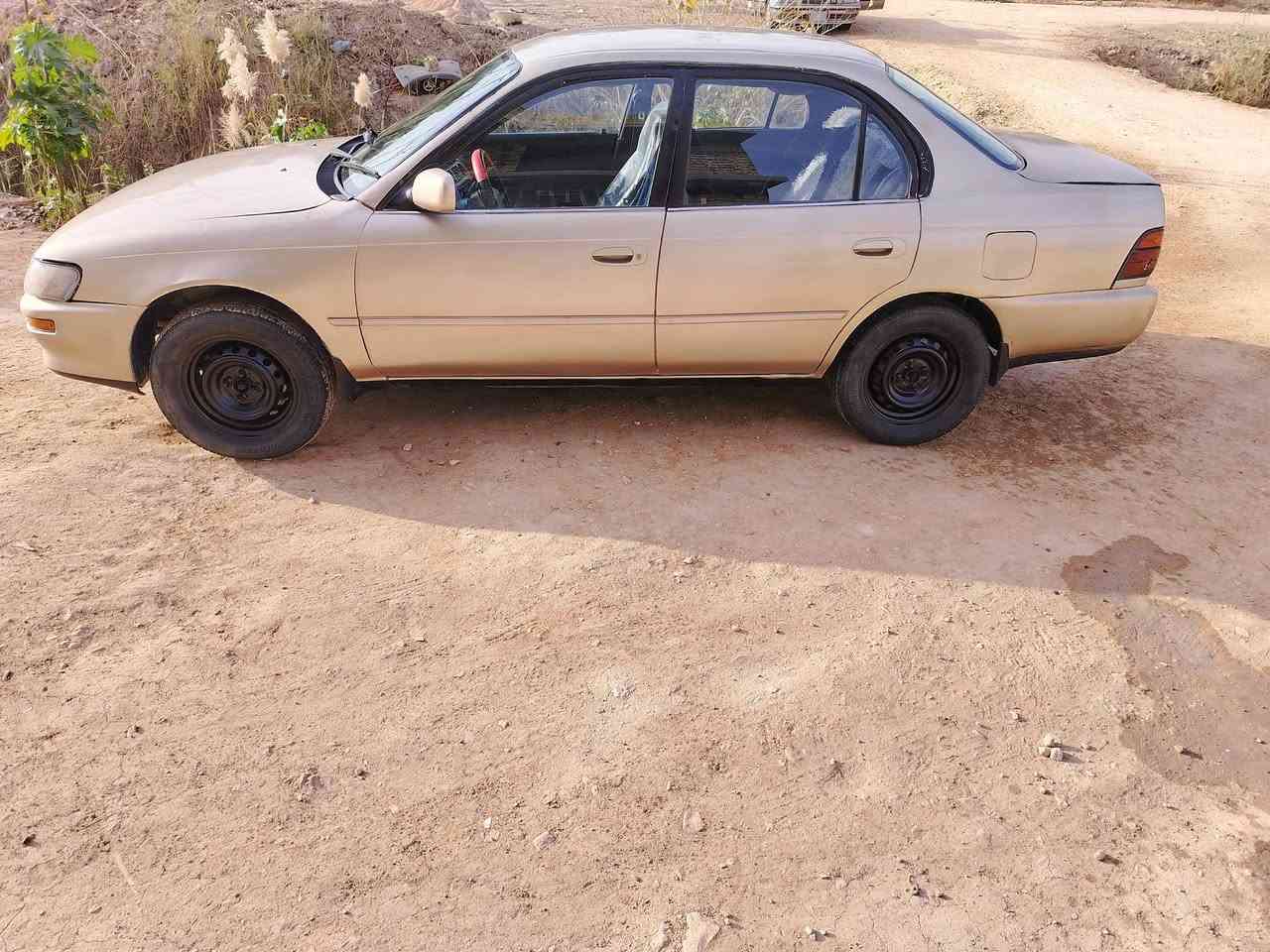 السلام عليكم كورله 94 محرك 1600 كير ومكينه وتبريد وصدر وكهربائيات كلها شرط تبريد ثلج ❄️ السيارة متجايه تجيه بسيطه القمارة بيها معجون مصبوغه عام السياره خير من الله رقم واسط سنويه لغاية 2027 تحويل مباشر السعر (38)  مكاني بابل الحمزة الغربي
***********
