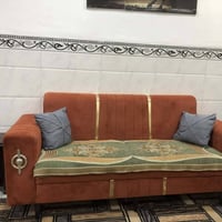 تخم تركي • ١٠مقاعد • حله الجزائر