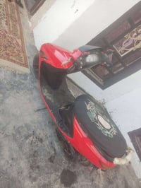 فراشه فحل • مامفتوح • جاهزه