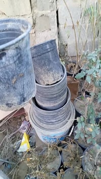 سناديل للبيع العنوان بغدادالشعب سبع قصورقرب الكراج ٠٧٧١٠٥١٣٨٢١ حيدر