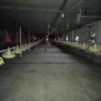للبيع  غراض حقل  أخو الجديد ‏‪07824820752‬‏