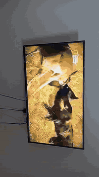 بلازمه البيع اعتقد حجم 42لو 43 انترنت نوعيه جنرال دايموند سمارت عنوان كركوك قرب جسر  الرابع سعره 160الف ***********
