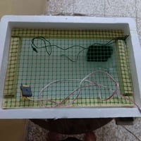 فقاسة • ٥٠ بيضة • شغالة