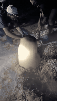 حفر الابار رتوازيه بنسب السعار شغل درجه اولى لتصل إلى رقم *********** في ناصريه
