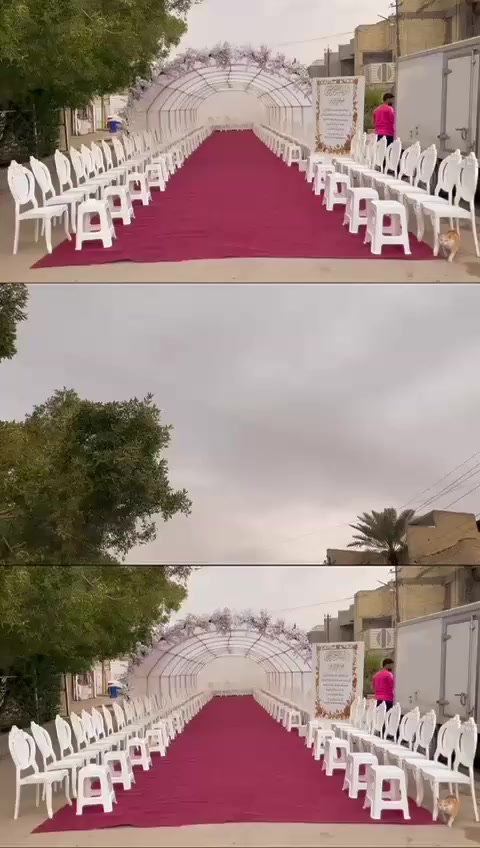 مجمع جدايل بغداد لكوشات الاعراس  وخيم الافراح والمناسبات
للحجز ***********
