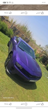 كمارو • ٢٠١٢ • سامراء