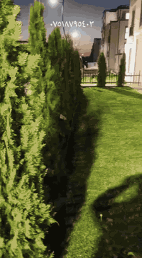 ترتيب حدائق • اربيل • مجمع الزيتون