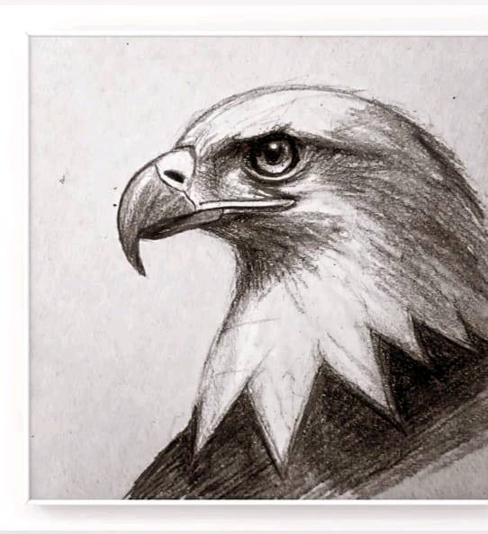 لوحات فنية يدوية تجمع بين الرسم الدقيق والخط العربي بأسلوب معبّر وجذاب. مثالية لتزيين المنزل أو المكتب، وتضيف لمسة فنية وأصالة إلى أي مكان تُعرض فيه.