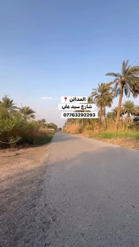 المدائن سيد علي • طابو ملك صرف • دونم