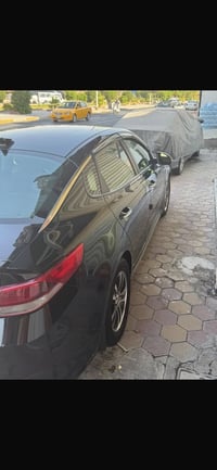 اوبتيمة • ٢٠١٦ • وارد امريكي