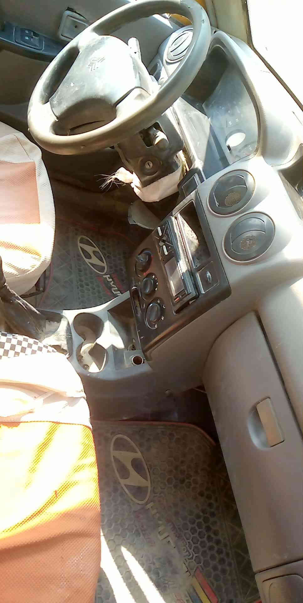 سايبا رقم بغداد
شغالة مكينة خيط بخار كير مكفول سنوية لغاية 22عظم عاج دواخل حلوة كشر 
ماواصلة راعيه السعر10
مكاني ديوانية 
***********
