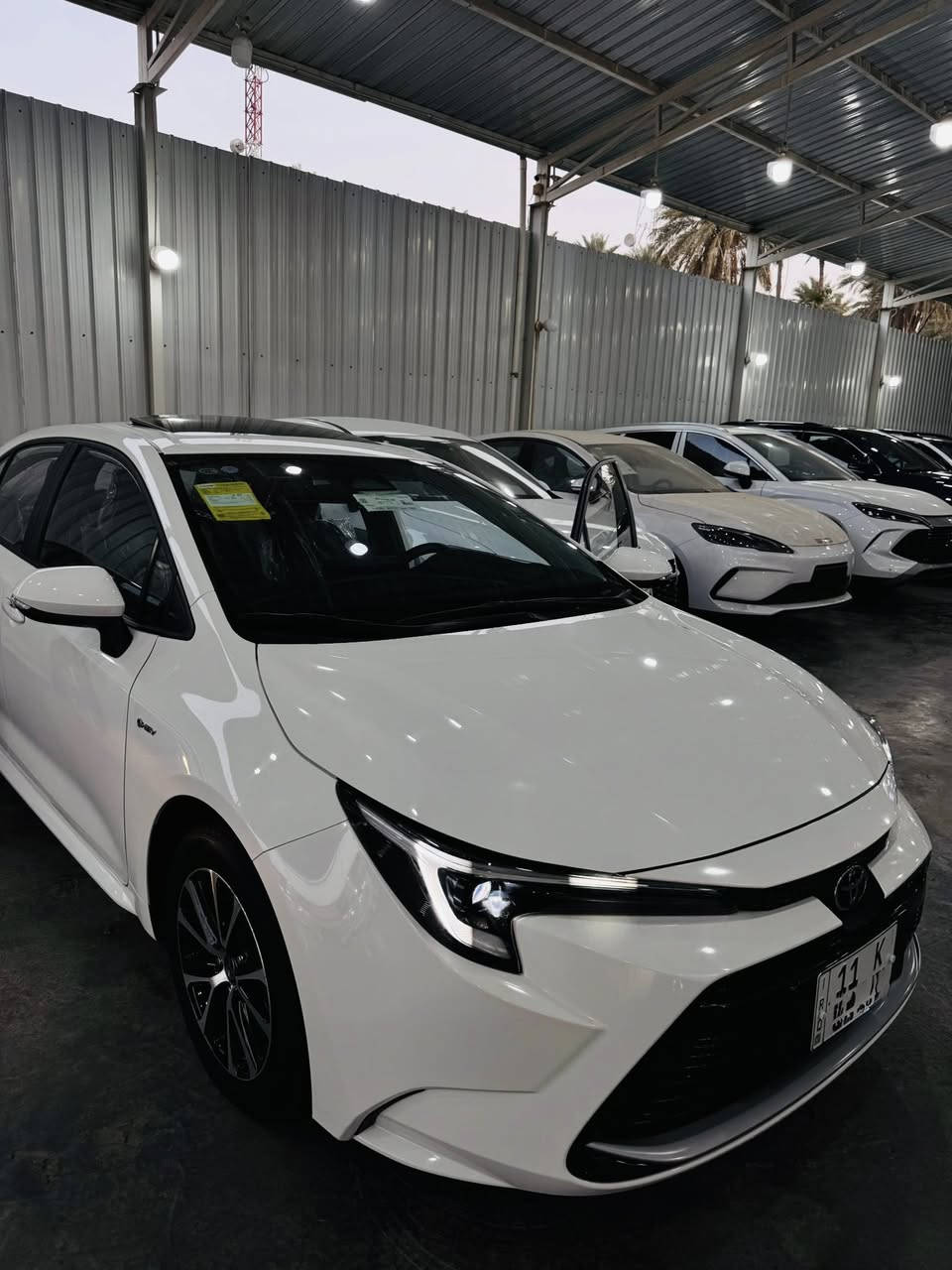 ‎‏‎‏﷽.


**إذا كنت صاحب هذا الإعلان وتريد حذفه لأي سبب، رجاءا أرسل رسالة إلى الدعم الفني**