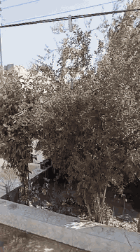 بيت للبيع بختياري   الثاني جوه
200متر
فول سراميك وسقف ثانواي  
الاستفسار اتصل ***********
